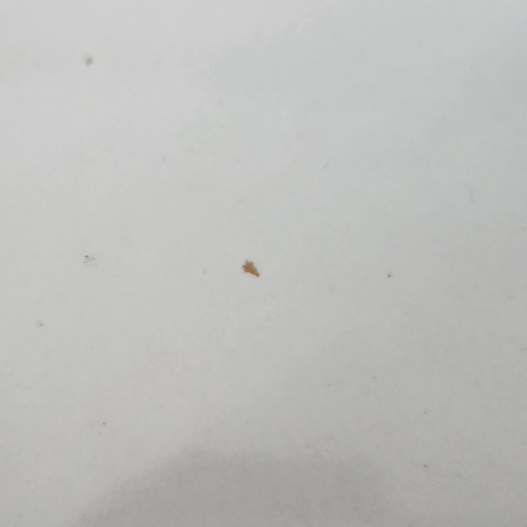 Denby Colonial Blue 8" Fluted Flan/Pie Dish *Not Mint - Picture 2 of 3